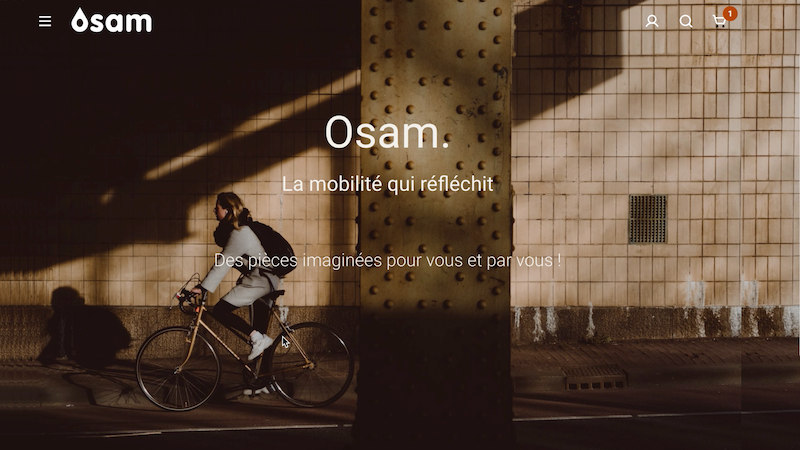 Capture en gros plan de la page d’accueil de la création site internet biarritz, vitrine OSAM, conçu sur WordPress avec branding et UX/UI sur-mesure
