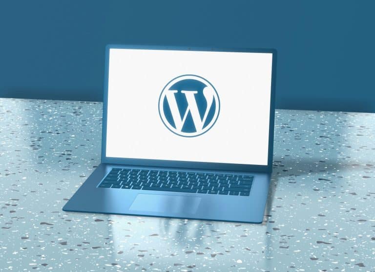 wordpress ou shopify pour une boutique en ligne à seignosse